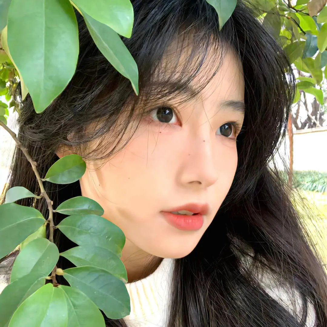 灌篮高手